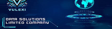 VULEXI Data Solutions
