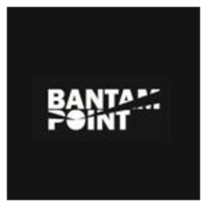BANTAM POINT