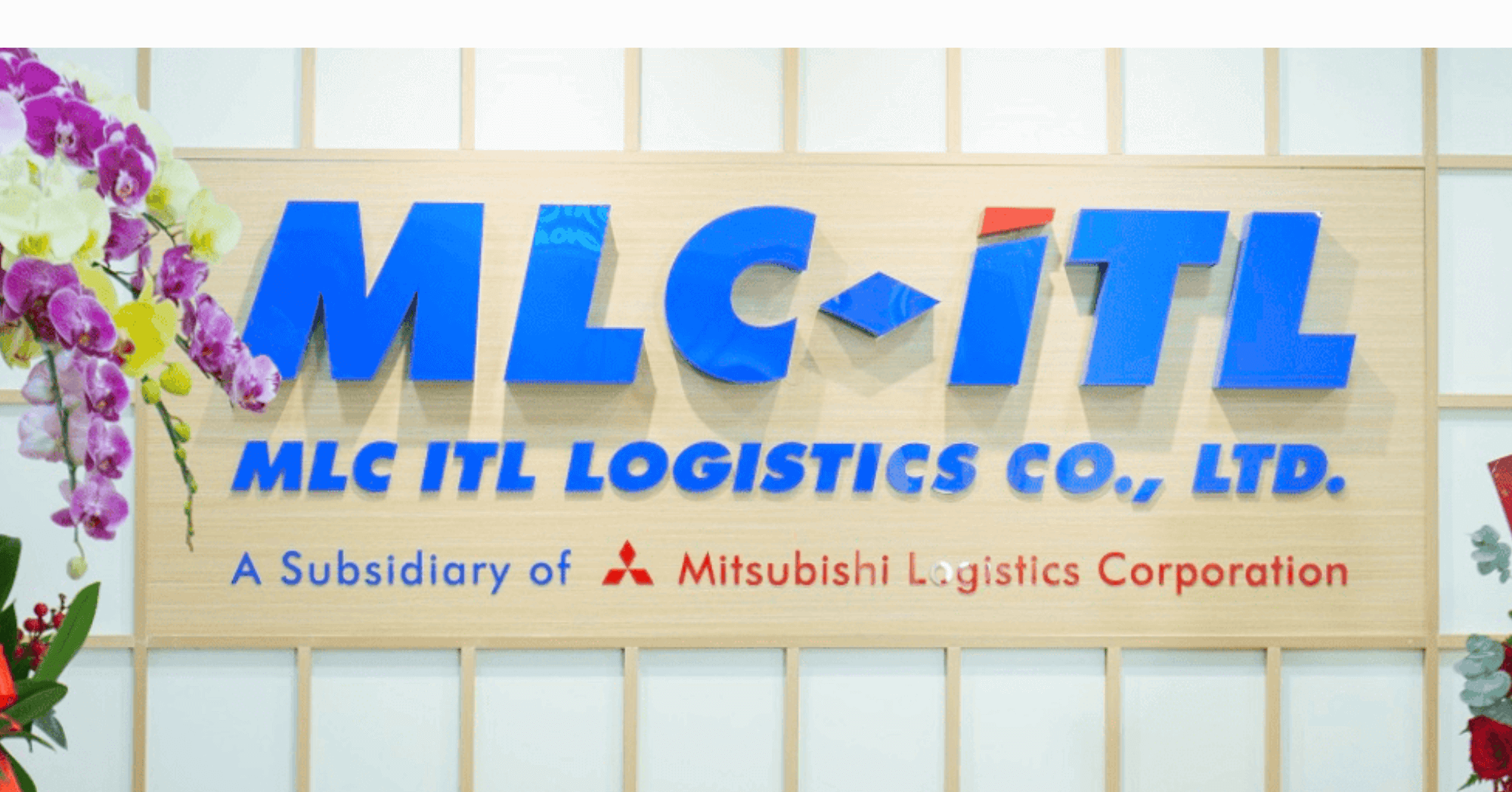 MLC INC