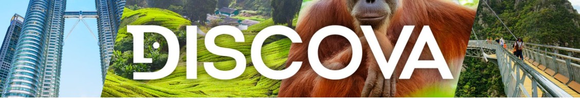 Discova