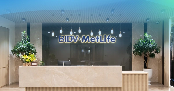 BIDV MetLife