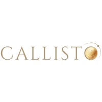 Callisto Talent Solutions