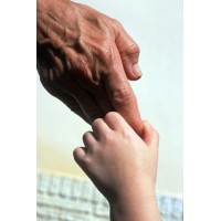 Mirchandanis Career Placements