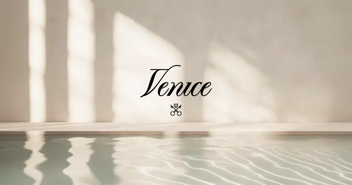 What is Venice AI? A privacy first AI assistant that doesn't store user data-001