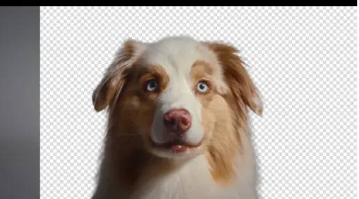 CapCut - Create videos and artistic photos with AI.-015