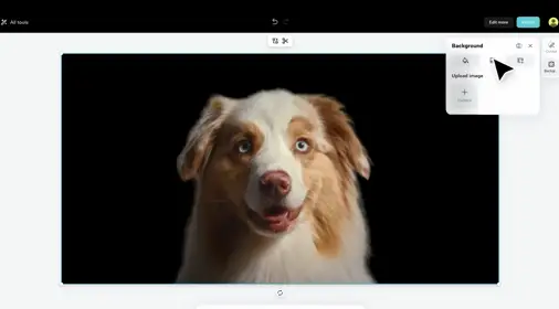 CapCut - Create videos and artistic photos with AI.-017