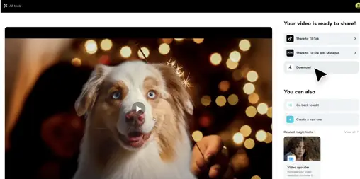 CapCut - Create videos and artistic photos with AI.-021