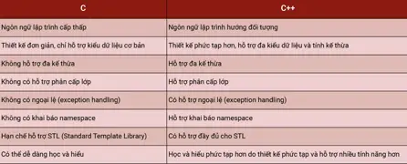 Lập Trình Viên C, C++-005