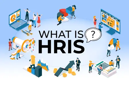 Discovering HR Efficiency: Navigating the World of HRIS-001