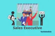 Sales Executive-002