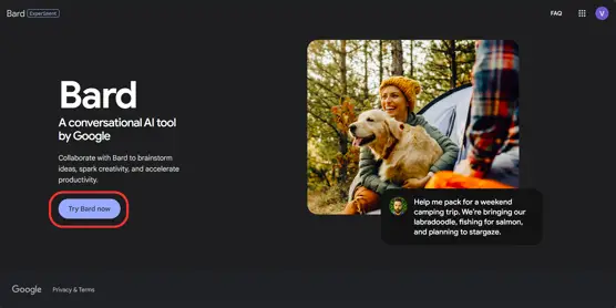 BARD - Google's New AI Tool Enhancing Search Performance-003