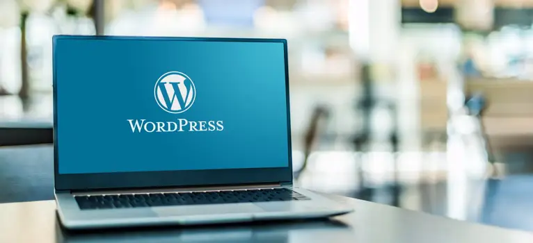 Wordpress Developers-001