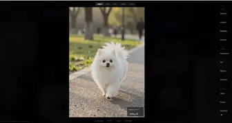 ZSky AI - Công cụ tạo ảnh và video miễn phí không giới hạn-005