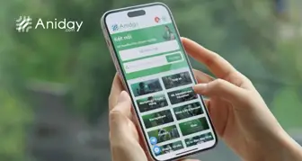 Can Using An EOR To Hire Foreigners In Singapore?-002