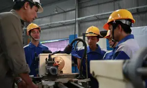 Thị trường lao động tại Việt Nam - Số liệu và thông kê năm 2024-003