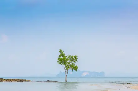 Group Interviews: A Must-Read for Returning Overseas Graduates-001