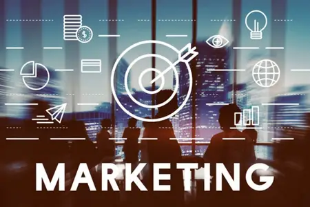 Crafting an Effective Marketing Director Job Description Template-001