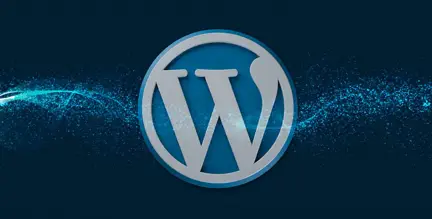 Wordpress Developers-002